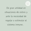 Complemento dietario para perros (Inmunidad)