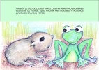 Frogui, la rana perdida