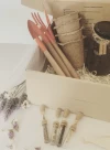 Kit de Siembra “ ALMA BOTÁNICA “