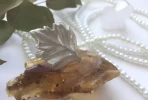 Flora- Hoja