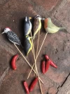 Pinches para macetas