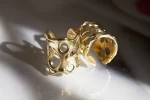 Anillo Abel
