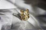 Anillo Abel